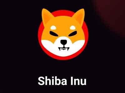 Shiba Inu, cryptocurrency, Шиба-Ину пытается закрепиться выше сопротивления на уровне $0.000009