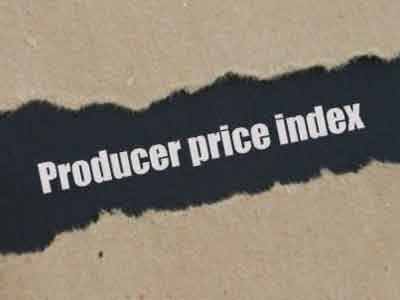 Producer Price Index (PPI). Why is this index published?