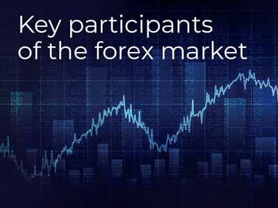 Key participants of the forex market