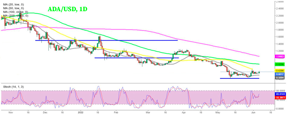 ADA/USD – дневной график