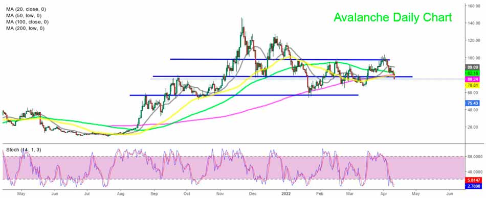 Avalanche Daily Chart