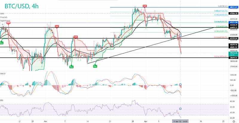 Цена Биткойна растет медвежьими темпами