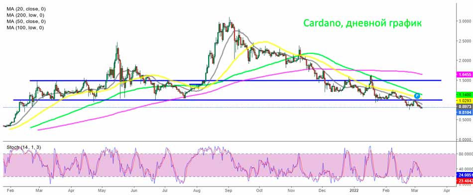 Дневной график Кардано – ADA продолжает снижаться до минимумов