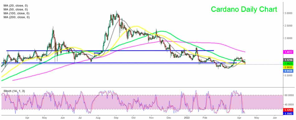 Cardano Daily Chart