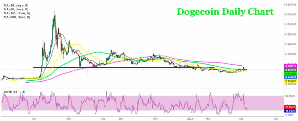 Дневной график Dogecoin