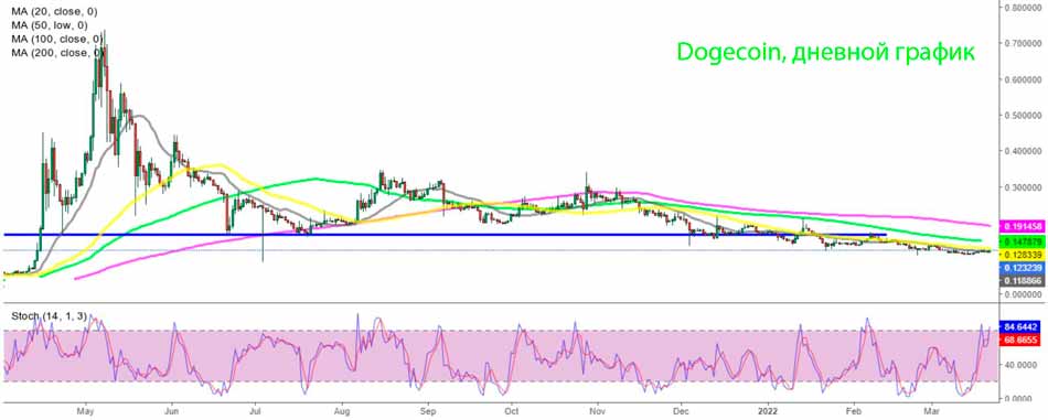 Дневной график Dogecoin