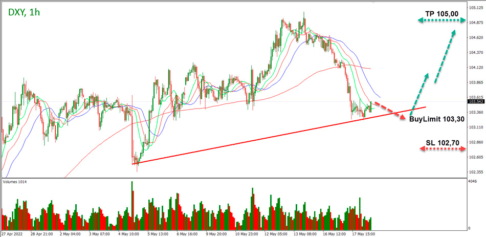 Forex DXY: the US dollar index is adjusted before further strengthening