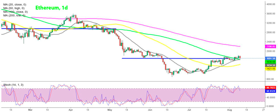 Дневной график Ethereum