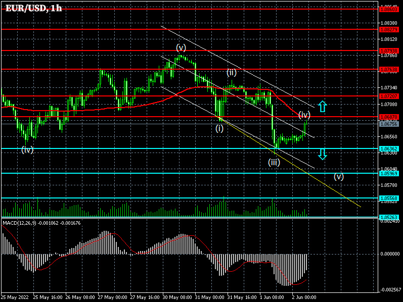 EURUSD: Forex strategy for the euro/dollar pair on 02/06/2022