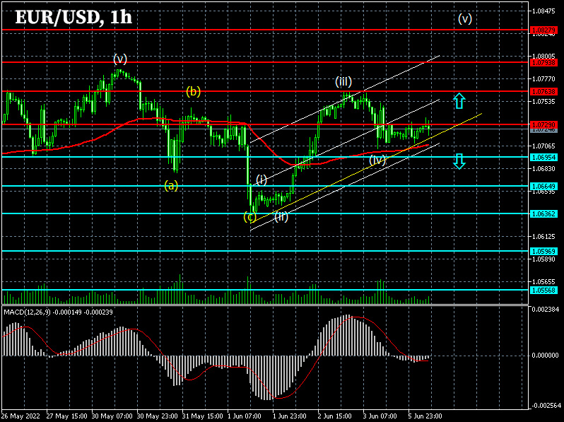 EURUSD: Forex strategy for the euro/dollar pair on 06/06/2022