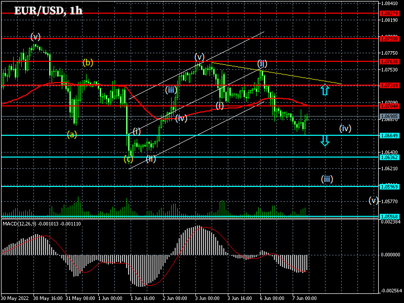 EURUSD: Forex strategy for the euro/dollar pair on 07/06/2022