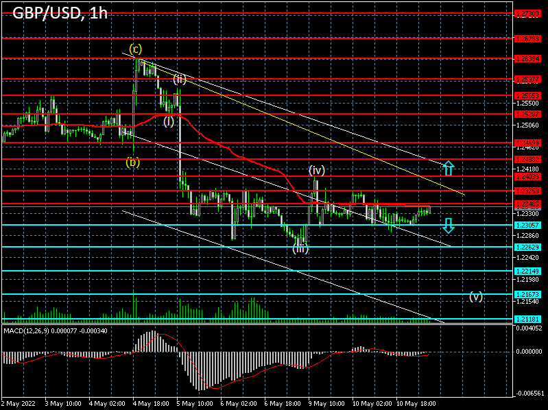 GBPUSD: Forex strategy for the pound/dollar pair on 11/05/2022