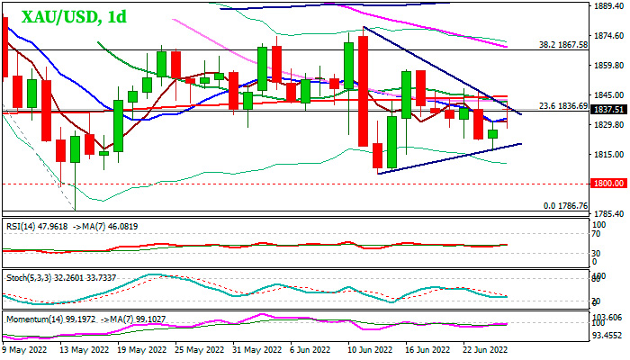 Дневной график Золота
