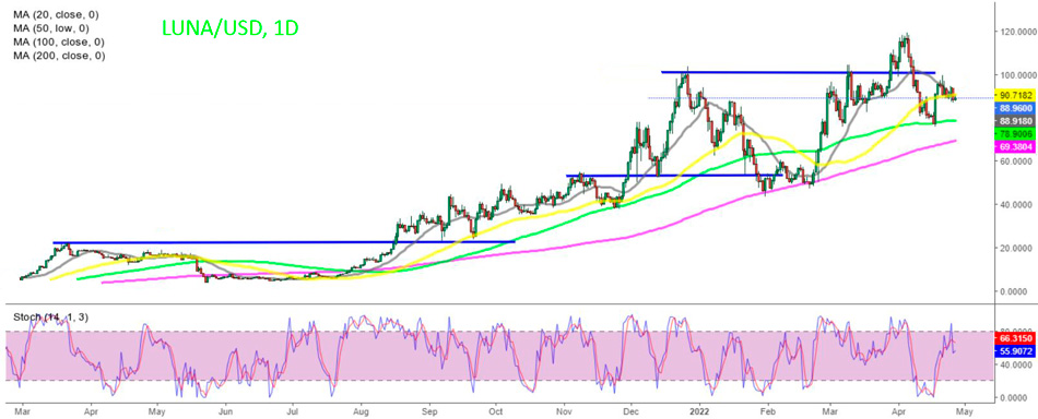 Terra LUNA была одной из самых оптимистичных криптовалют