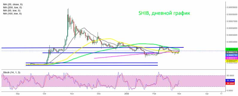 Анализ дневного графика Шиба–Ину