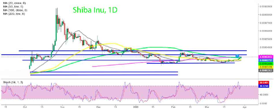 Дневной график Шиба–Ину