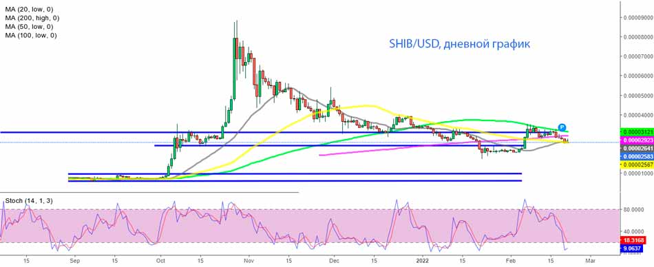 Анализ дневного графика Шиба–Ину - 100 SMA отправляет ШИБА вниз
