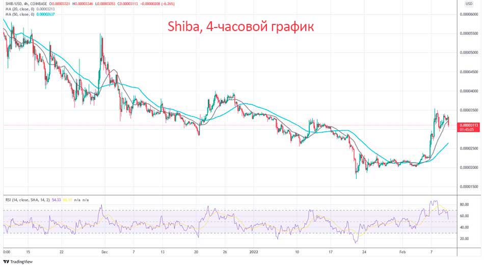 Шиба Ину (SHIB) растет после объявления о планах войти в метавселенную