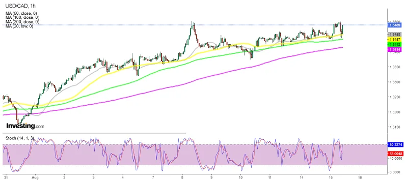 График USD/CAD 1 час
