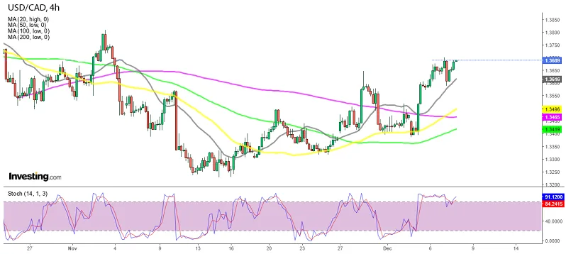 График - USDCAD падает и отскакивает вверх на повышении ставки на 50 базисных пунктов