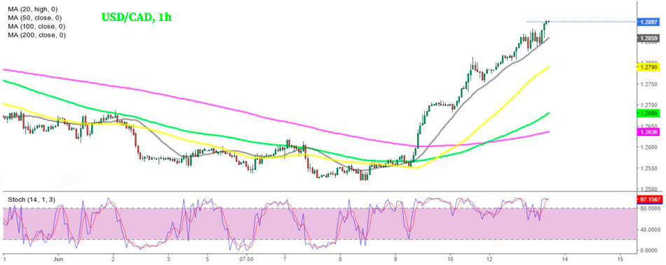 График USD/CAD – сигнал на покупку